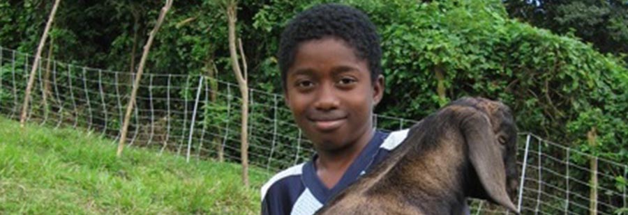 young boy holding a goat