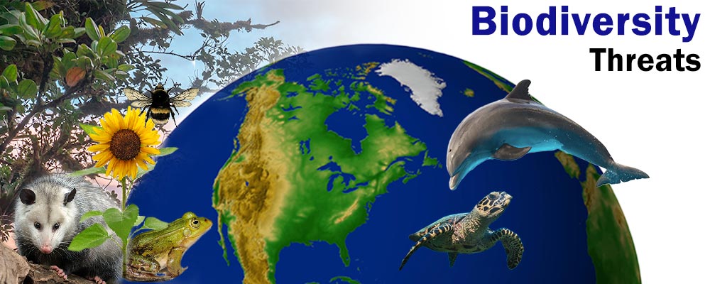 earth with frog trees opossum green sea turtle bee and dolphin