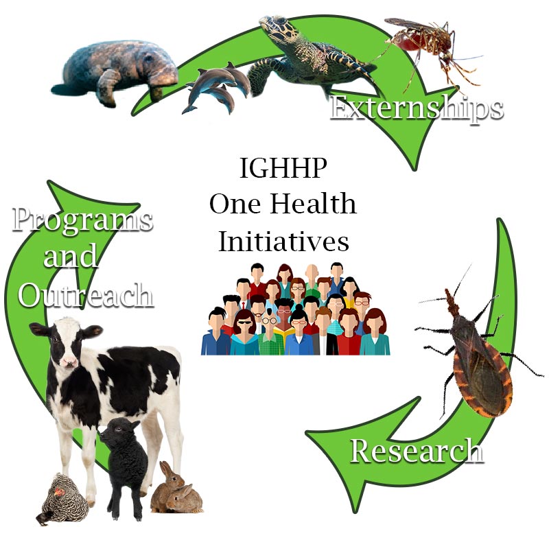 IGHHP programs externships programs outreach research